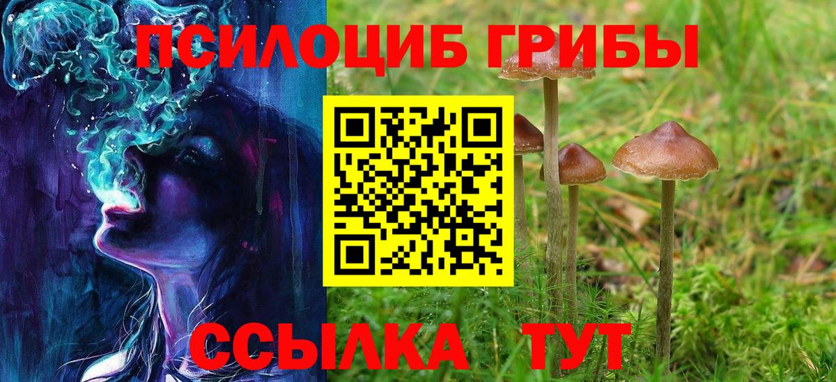 Галлюциногенные грибы MAGIC MUSHROOMS  магазин  наркотиков  Верхняя Салда  Псилоцибиновые грибы прущие грибы  Вход с VPN 